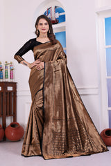Aarohi Black Banarasi Silk Saree