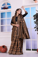 Antara Black Banarasi Silk Saree