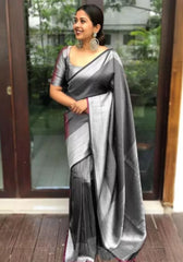 Silver Sheen Elegance