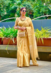 Heera Gold Tissue Silk Saree