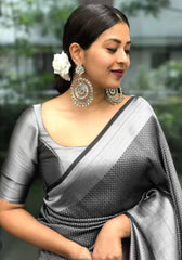 Silver Sheen Elegance