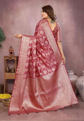 Sandhya Gajari Organza Silk Saree