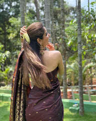 Vibrant Brown Soft Silk Saree With Excellent Blouse Piece