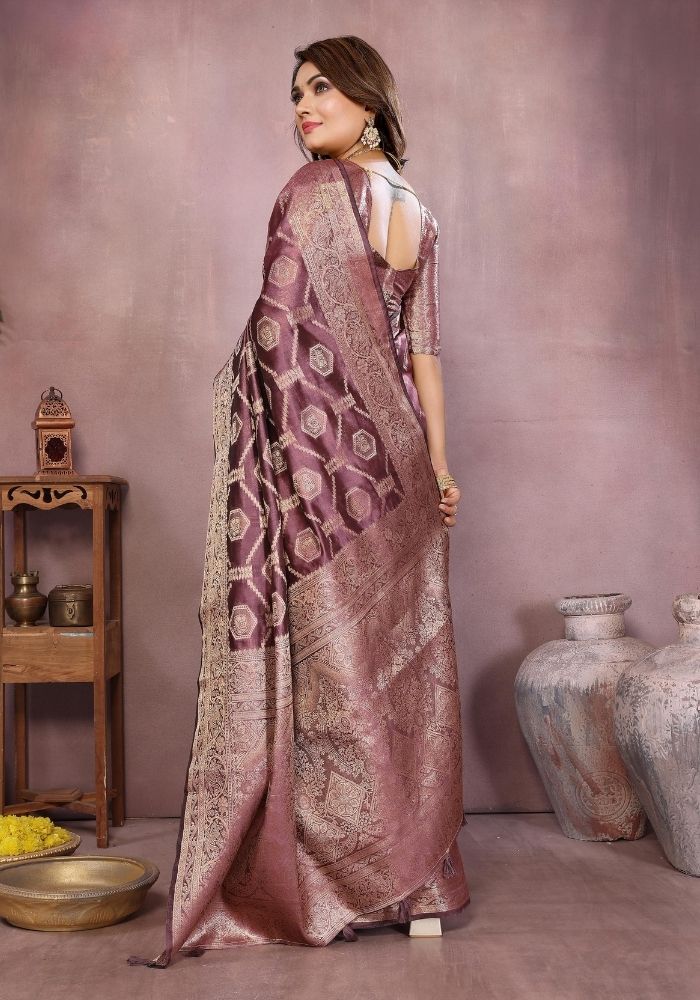 Sandhya Dusty Gajari Organza Silk Saree