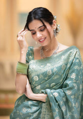 Pihu Light Green Banarasi Silk Saree
