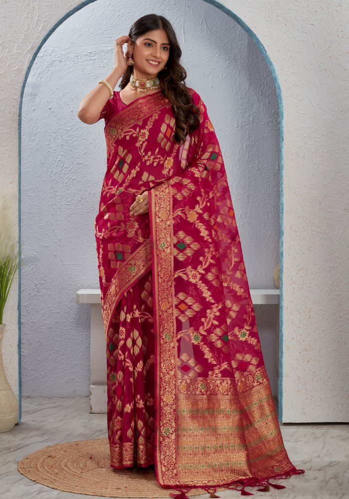 Pankhudi orgenza saree