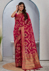 Pankhudi orgenza saree