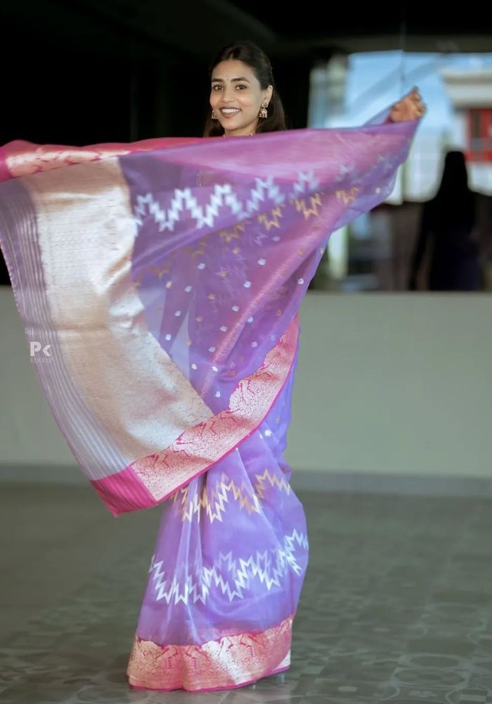 Viya Banarasi Silk Saree