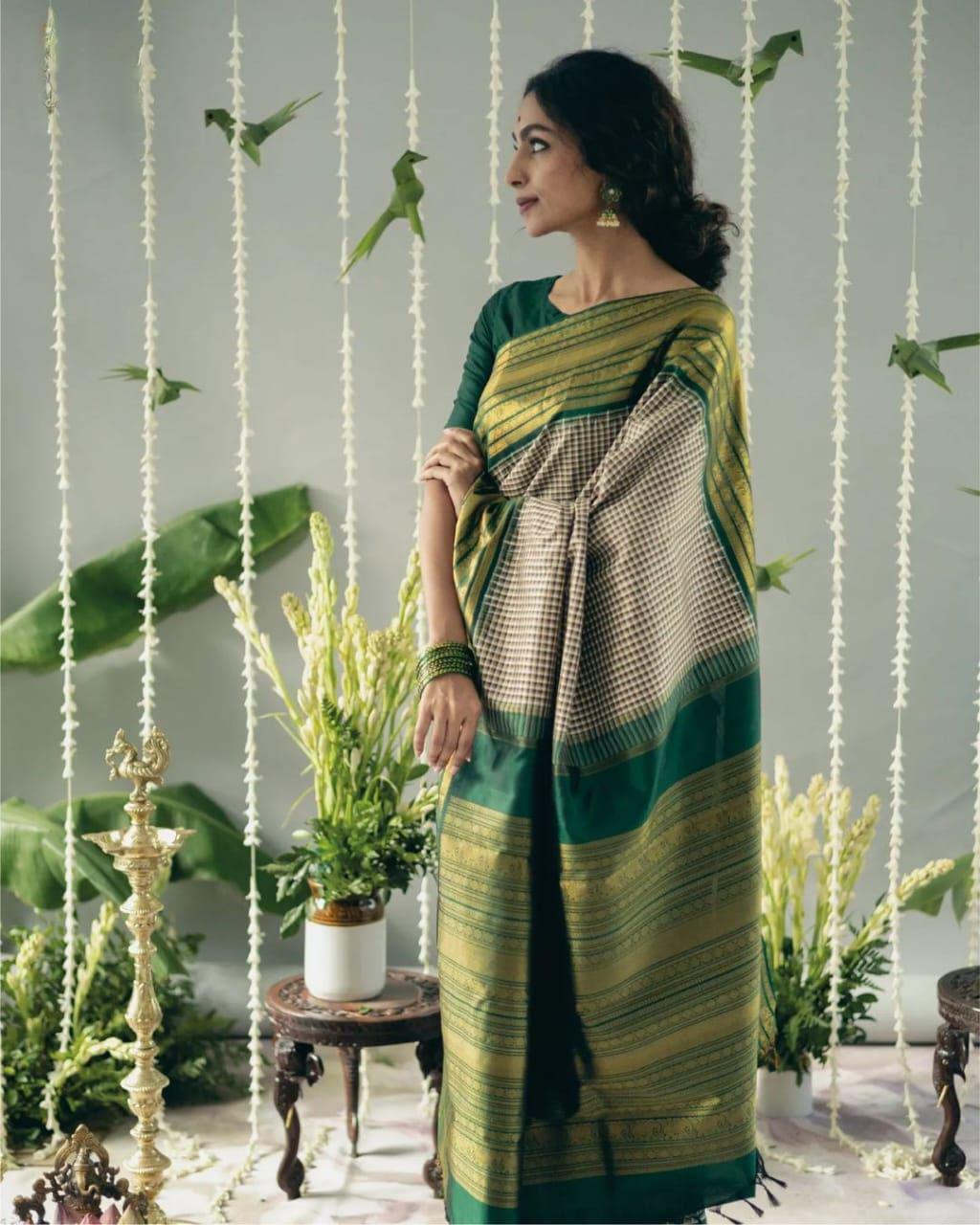Wamika Kanchipuram Silk Saree